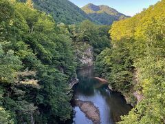 錦橋から見下ろす「舞鶴の瀞」心を洗う絶景