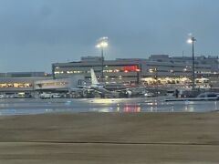 あー大きいな　羽田空港キッラキラ