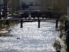 2024.02.28　水曜日　PM13：58　白川一本橋