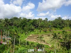 バリの数あるライステラスの中でも、「神の階段」とも呼ばれ、随一の美しさを誇るとのことですが、なんか観光地化が激しくて。