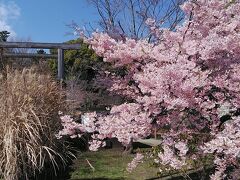 報徳二宮神社 (小田原市)