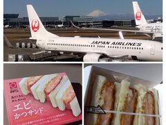 羽田空港 第１ターミナル
今日も富士山がばっちり！
ぷりっぷりエビかつサンドが美味しい～