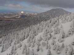 八甲田ロープウェーに乗って樹氷を・・・