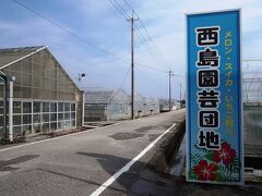 ひろめ市場から30分ほどで、高知市東に位置する南国市の西島園芸団地に到着しました。