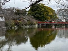 小田原城址公園。お堀もあって、橋が風情ありますね。