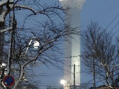 市電1日券があるので、五稜郭まで足を伸ばす。