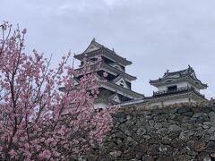 やってきました大洲城。
早咲きの桜とお城。…写真技術とセンスはまぁ置いておくとして、気分が上がります。