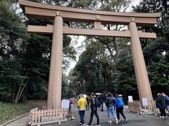 この後は大学時代の旧友と
原宿の南国酒家でランチ

原宿で別れて1人
代々木駅まで
小雨の中を明治神宮へ