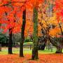 咲花温泉一水荘で秋と冬の二彩湯浸り。紅葉の五泉をめぐる旅。