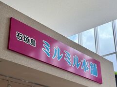 空港に着き、最後のミルミル本舗。