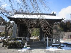 ここは長野県駒ケ根市です。枝垂桜の枝が垂れています。お庭にたくさんあり、春にはきれいなことでしょう。