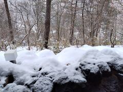 【2日目】3月4日（月）雪
ホテルニュー紅葉（群馬県吾妻郡草津町）
朝の雪見露天風呂で、源泉の掛け流しの温泉に浸かるのは最高の気分です♪