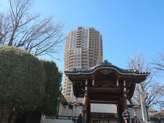 善福寺 勅使門