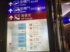 台湾桃園国際空港 (TPE)