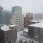 2024冬の札幌へ。④2日目の朝は大雪。午前中、私はホテルでリモートワーク。午後は藻岩山へ。