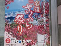 「日本で 一番最初に行われる」さくら祭り こと「名護さくら祭り」
　