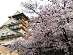 3月末

一度 西へ戻って「大阪城」
　