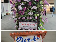 めんそーれ！久しぶりの那覇空港。
お花の歓迎が嬉しいです。