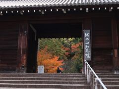 こんな風景はちょっと大人の京都って感じですね。