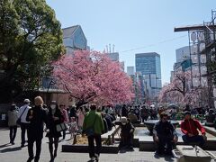 お店にベンチもあるけど
天気がいいので上野公園へ

東京はちょうど今日が開花宣言
しかも４年ぶりに飲食ＯＫのお花見解禁

みんな笑顔で楽しそう

