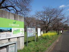 都立小金井公園