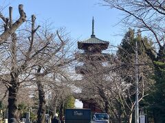 遠くには五重塔