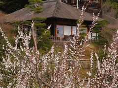 水戸-7　水戸県立自然公園　偕楽園  　54/       2