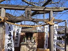 貴志駅に到着。
ホームには「たま大明神」が祀られている。
この上の木は桜だな。
満開になったらさぞ美しいだろう。
いい所に祀ってもらったな、たまさん。