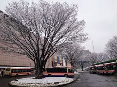 福島駅東口のバスターミナル…

枯木に積もった雪が花のようで美しい(^^)