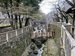 春は桜の名所になる音無親水公園。