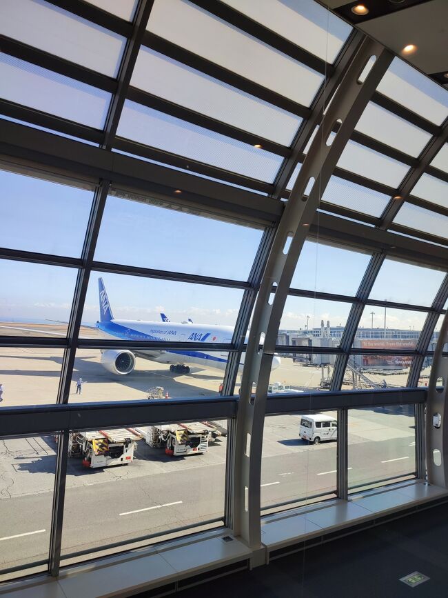 マイルが尽きてしまったので、スパーバリューで片道12000円くらい。<br />タイムセールだと10000円切っていて、LCCよりはるかに良い。<br /><br />行きはスターウォーズ、帰りは鬼滅の刃のアナウンスが流れた。