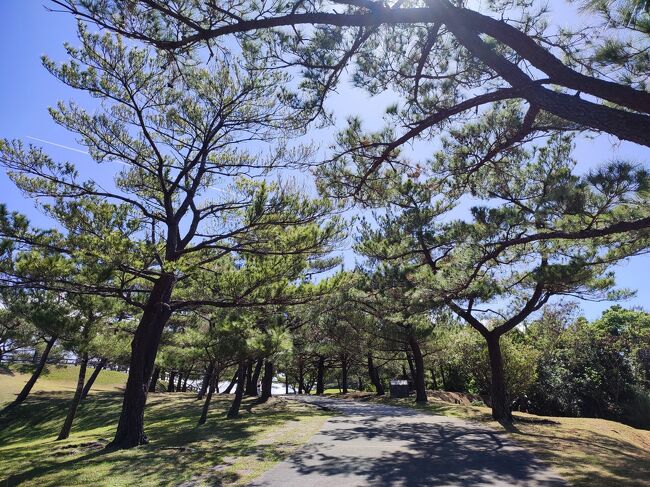 公園自体、いい感じです。