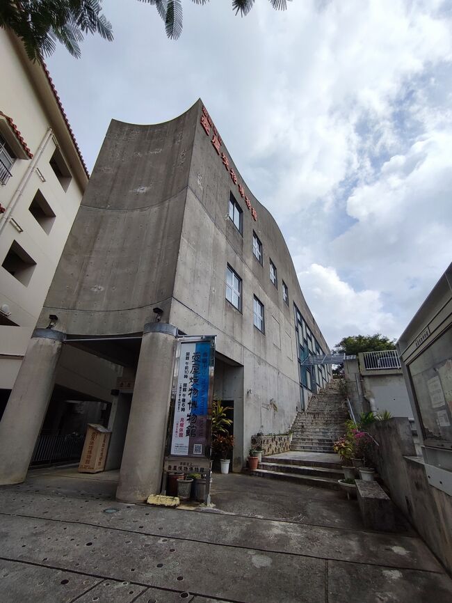 やちむん通りの北端にある、那覇市立壺屋焼物博物館。