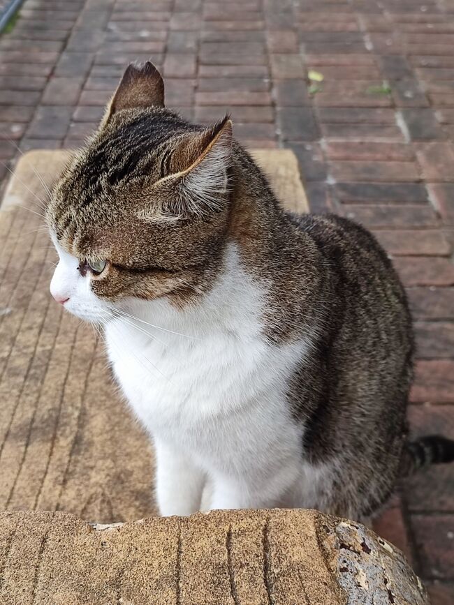 となりに座った。なんで？<br /><br />