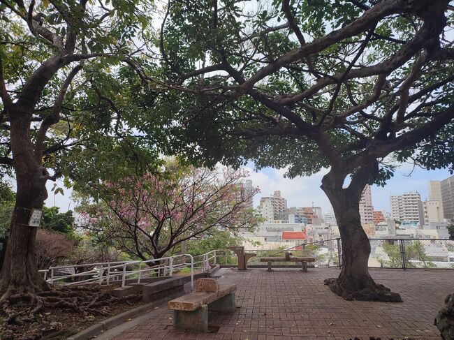 観光客は気づかないのか、現地のおじさん一人しかいなかった。<br />買い物に疲れたら、休憩するのによい場所。<br /><br />てんぶすの裏側です。