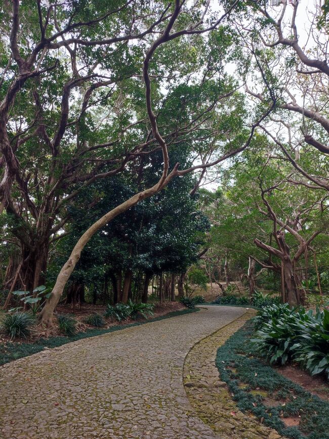 あまり人がいない。首里城の近くなのに何故？