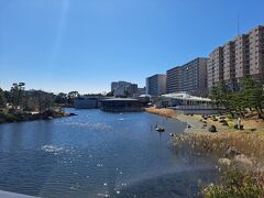 向こうに見えるのがしながわ水族館
多くの方はあちらに向かいます。