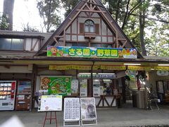 さる園。野草園

招待券を手に入れたので、初めて「さる園。野草園」を訪れた。