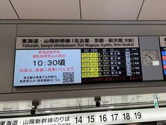 少し早めに東京駅に来ましたが、山陽新幹線の新岩国駅で発生した人身事故で新幹線がまったく動いていません。旅の出鼻を挫かれます。