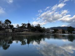 鶴橋で近鉄奈良線に乗り換え16時40分に近鉄奈良駅に到着。猿沢池のほとりの旅館に投宿しました。