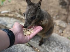 グラナイトコージ ネイチャーパーク