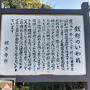 2泊3日で行く四国周遊旅行～高知は遠かった。2日目は紫電改展示館と高知ジオ巡り