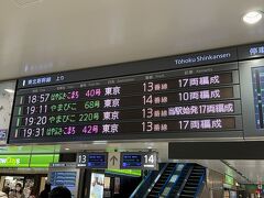 急ぎ目で戻ってきて新幹線へ。