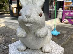 このかわいいうさぎちゃんがお迎えしてくれるのは
岡崎神社
うさぎ好きにはたまらない！！