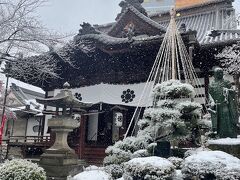 昨日来た、西光寺に寄って御朱印を頂いて帰ろう。

雪吊りに雪がかかっているの初めて見たわ。