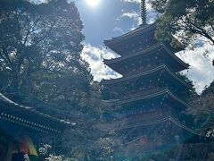 ここまできたので、お隣の竹林寺と一言地蔵さまにもご挨拶。
高知に来ると毎回訪れるくらい大好きなお寺です。