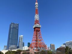 プリンス芝公園からの東京タワー。