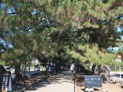 10：38、「神の道」にやって来ました。
神の道は、御穂神社に続く約500ｍほどの松並木の道で、ご神木の羽衣の松に来臨した神々が御穂神社に行くために通る道とされています。
この道は歩行者専用なので、自転車は押して歩くことになります。