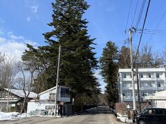 角館そばさんで昼食を頂いてから、角館を代表する観光地の武家屋敷街に向かいました。

武家屋敷通りの南側入口付近から撮影した画像ですが、通りを歩く観光客も少なくて静かで落ち着いた街の雰囲気を楽しむことが出来ました。