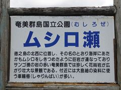 ムシロ瀬
徳之島で一番来たかった場所です